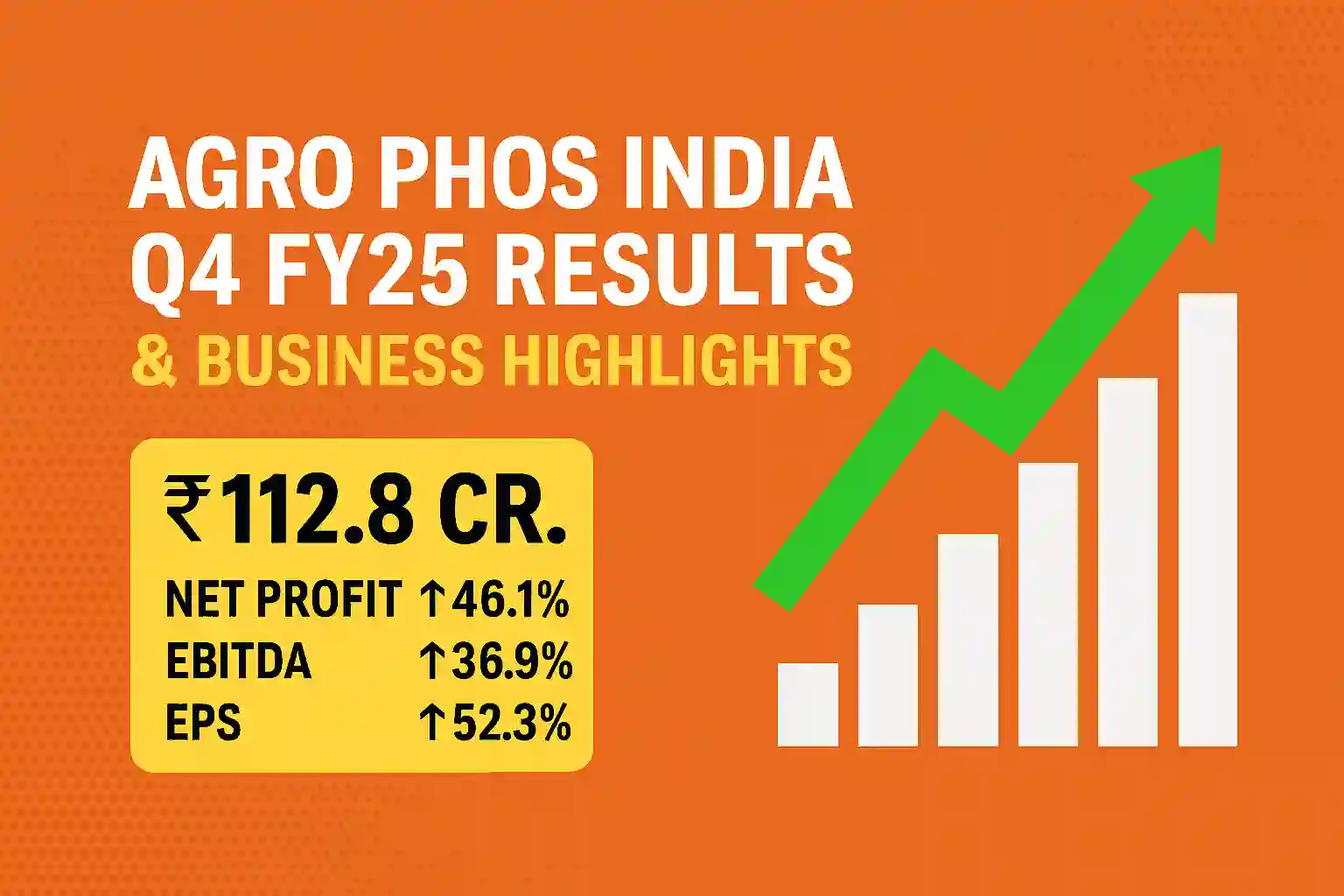 Agro Phos India Q4 FY25 Financial Results and Business Outlook